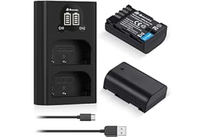Powerextra 2 Batería Repuesto 2200mAh para Panasonic Lumix DMW-BLF19 DMW-BLF19E - Cargador Doble Compatible con Panasonic Lumix DMC-GH3 DMC-GH3A DMC-GH3H DMC-GH4 DMC-GH4H DC-GH5 DC-GH5S