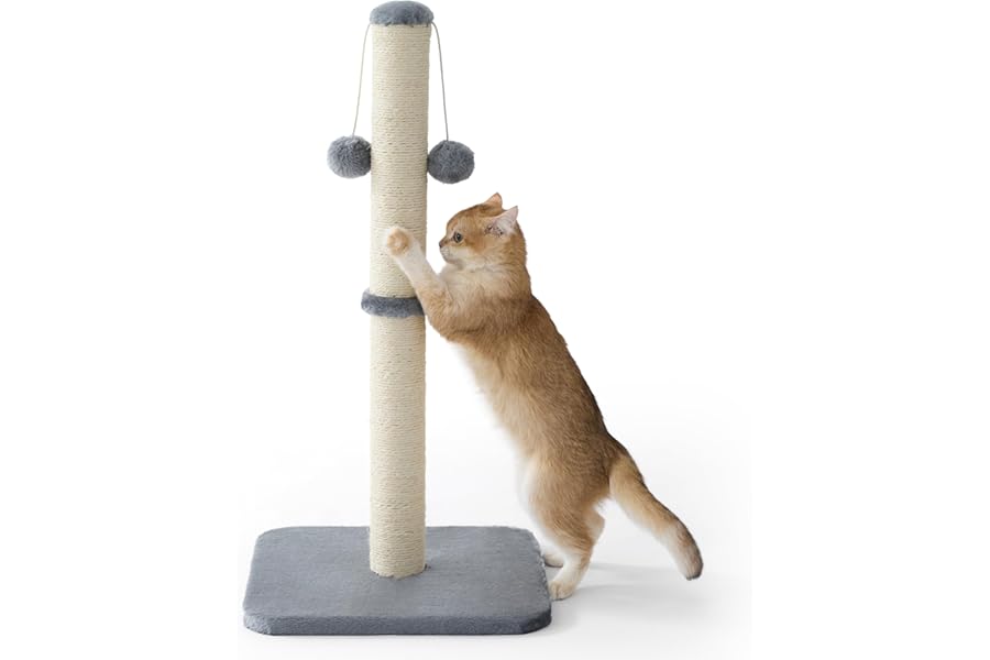 LE SURE Cat Scratching Post Indoor - 36x36x74cm Tall Sisal Scratch Post with Hanging Toy Ball, Scratching Posts for Indoor Cats Kittens with Stable Base, Grey