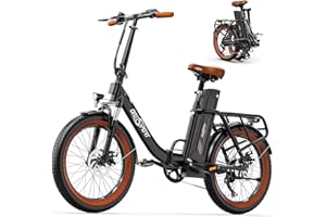 ONESPORTWAY OneSport OT16-2 Vélo Électrique Pliable de 20 Pouces, Ebike avec Moteur 250W et Batterie Amovible 48V 17Ah, Écran LCD et Connexion Bluetooth, 3 Modes de Conduite, Velo Electrique Adulte Homme & Femme