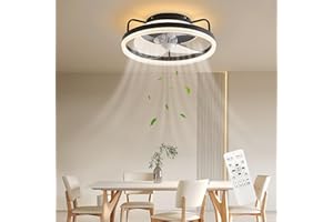 Baerolc Ventilador de Techo con Iluminación, 40CM 26W Lámpara de Techo con Ventilador LED Regulable Ventilador de Techo con luz 6 Velocidades Ventilador de Techo para Dormitorio Cocina Comedor