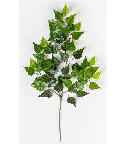 Ramo Di Betulla Artificiale Verde 70 Cm, 3 Rami E 50 Foglie, Pianta Finta Per Decorazione