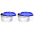 Signoraware Tiny Wonder Steel Container, Set of 2, 250ml+250ml, Violet