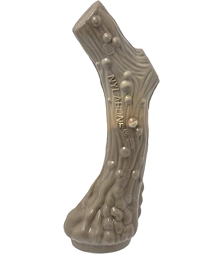 Nylabone Durable Chew Bacon tot 20kg | Voor de echte bijters