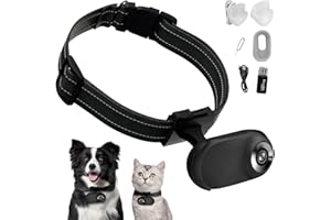 Kestanlora HD 1080P Cat Camera Collar with Video Record Wireless Mini Sport Cam,Small Action Cameras,Body Camera for Pet Supplies/Stuff,Outdoor/Inoor Birthday Gift No WiFi, t-ydxj-0618