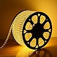 Desidiya ® LED Strip Rope Light,Water Proof,Ceiling Light,Decorative led Light with Adapter. (5 Meter, Warmwhite)