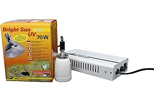 Lucky Reptile Bright UV Jungle - Lampada a vapori Metallici 50 W per portalampada E27 - Lampada da terrario con Spettro di Luce Diurna - Lampada Termica Raggi UVA e UVB - Rettili Tropicali
