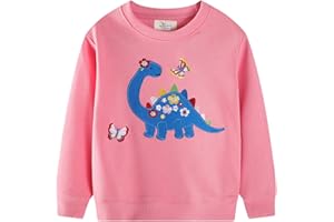 QHKEPW Girls Jumper Unicorn Cat Butterfly Strawberry Flower Kids Sweatshirt Toddler Top Long Sleeve Round Neck Cotton Casual Clothes T Shirt 1-7 Years Old