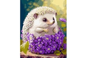 SHUIBIAN Dipingere con i Numeri Bambini riccio Senza Cornice 40 * 50cm Kit di Tela per Pittura a Olio Dipinta a Mano Fai da Te Per la decorazione della casa