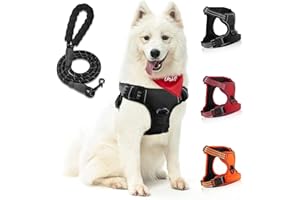 SIBOTER Pettorina Cane, Pettorina Cane Taglia Media Regolabile, Traspirante Pettorina Cane Taglia Grande con Guinzaglio, Pettorina Antifuga Cane per la Corsa, Passeggiate, Jogging (M, Nero)