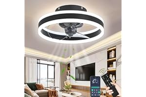 Wildcat Ventilatore da Soffitto con Luce, Moderno Indoor LED Dimmable Ventilatori da Soffitto con Telecomando, Smart 3 Light Color Change e 6 Velocità Della Ventola