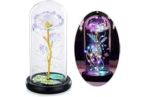‎GLASSEAM Glasseam Die Schöne Und Das Biest Rose In Glaskuppel LED-Lichter Kristallrose Blumen Geschenk Zum Geburtstag Jubiläum Valentinstag Hochzeit Freundin Frau Frauen