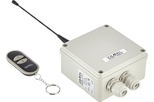 ZAMEL etero Interruptores de Radio, de 1 Canal, 1 Pieza, RWS de 211j/12 V/N