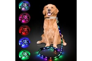 Aisuowa LED Laisse Chien, 12 Modes Éclairage, 1,2 m, USB Rechargeable, Lumineux et Imperméable, Longe pour Animaux Domestiques