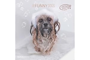 ALPHA EDITION Funny Dogs 2025 CALENDARIO DA PARETE 30X30 CM