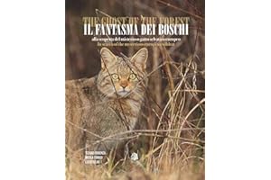 Il fantasma dei boschi. Alla scoperta del misterioso gatto selvatico europeo-The ghost of the forest. In search of the mysterious euroepan wildcat. Ediz. bilingue. Con QR-Code