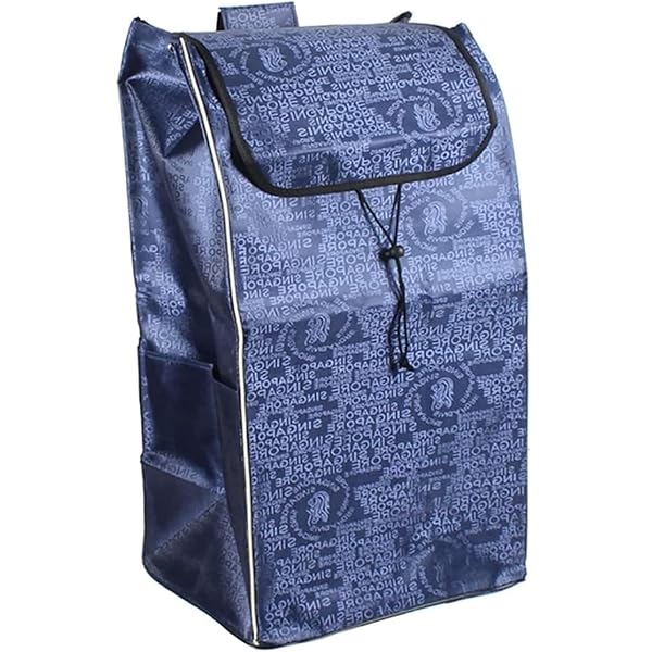 Borse Per Carrello Supermercato Borsa Sostituzione Carrello Spesa LOVIVER - Tessuto Oxford Impermeabile 50x30x20 Cm Borsa Trasporto Carrello