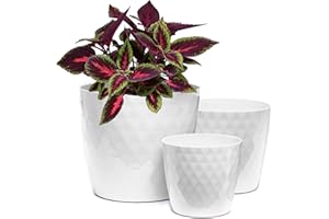 Home Garden Ornaments Maceta Blanco Juego de 3 Tamaños 14/16/18 cm - Macetas Plastico con Superficie de Cristal Brillante - Maceteros Exterior - Decorativa Macetero Interior (Blanco)
