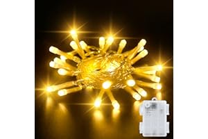 Dalugo Guirlande Lumineuse Pile, Guirlande Lumineuse 3M 30 LED Blanc Chaud avec Minuterie 6h, Guirlande LED Étanche IP65 pour l'intérieur et l'extérieur des Décorations de Noël