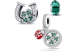 HappyStar Charme Argent Sterling 925 Femmes Perles Charm,Compatible PourPandora & Européen les bracelets et les colliers Charms de combinaison, cadeau pour les sœurs et les amoureux