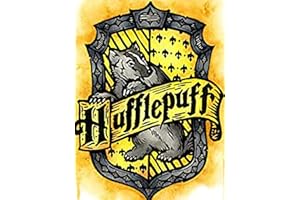 DVBQQWE Kit de peinture diamant 5D pour adultes Harry Potter - Peinture par numéro avec strass - 30,5 x 40,6 cm