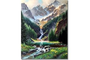 DIAMOND PAINTING FAN HOUSE Fan House Dipingi con i Numeri per Adulti, Kit di Pittura a Olio su Tela Fai-da-Te per Bambini con Pennelli Pittura a Pigmento Acrilico Disegno 40x50cm