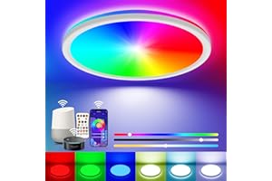 Peasur Smart RGB LED Ceiling Light Dimmable, 24W 3000K-6500K Bathroom Light 16 Million Colors Changing with Remote and APP Control, 30CM Ceiling Lamps for Bedroom, Living Room, Kitchen