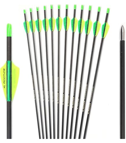 BLACK EAGLE ARROWS Outlaw 6 Flèches de chasse et tir 3D en carbone