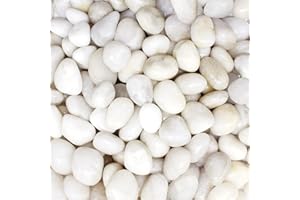 LONTOM Natural White Pebbles 2.2lb Decorative Stone Polished Gravel River Rocks for Plants, Home DIY Decor,Aquarium Gravel,Vase Fillers,Fairy Garden,Crafting, Animal Habitat, Medium