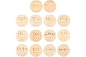 Toddmomy 14pcs Wooden Monthly Cards Baby Milestone Discs Wooden Round Discs for Baby First Year Growth Photography