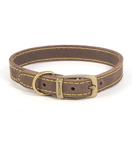 Ancol Latigo Flexibles Hundehalsband Aus Havanna-Leder – Dehnbar, Mit Antikgoldenen Befestigungen, Größe 26-31 Cm