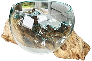 Darthome Molten 20cm Fruit Bowl On Teak Root Stand Glass Rustic Wood Decorative Sculpture