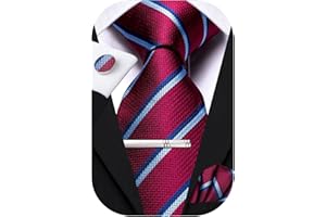 Hi-Tie Silk Ties for Men Pink Blue Black Mens Ties Set 4 PCS Necktie Pocket Square Cufflinks Clip Pin for Wedding