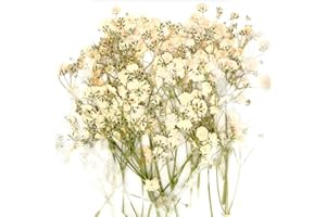 Vanyibro 48PCS Dried Pressed Baby's Breath Flowers, Real Nature Mini Gypsophila Bouquet for DIY Crafts, Candle Resin Jewelry, Nail Art, Floral Decorations（White）