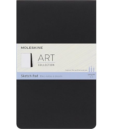 Moleskine Professioneel notitieboek (groot, harde kaft) zwart : MOLESKINE