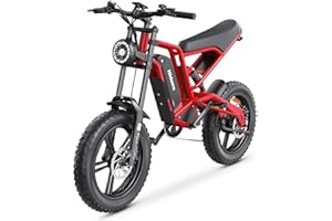 Ealirie Electric Bike 20 * 4" Fat Tire Range 40-80KM, Removable 15Ah Winter Snow Beach Hill Mountain Electric Bicycle, Dual Disc Brakes & Sextuple Suspension for Adults Teens b6 ebike