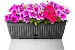 ‎BIGDEAN BigDean Blumenkasten mit abnehmbarem Untersetzer - Anthrazit 50 cm lang aus bruchsicherem Kunststoff - Balkonkasten Pflanzkasten mit Wasserspeicher für Innen- & Außenbereich geeignet - Made in Europe
