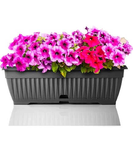 blumenkasten mit untersetzer 100 cm 4er Set Blumenkasten Balkon 60 cm mit Untersetzer Terracotta, Hochwert   Sustania