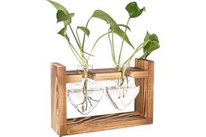 bssmmai Szklana stacja propagująca do roślin, wazony w stylu vintage, dekoracja z drewnianą ramą, zestaw do domu, salonu, biura, regału, dekoracja stołu, parapet – hydroponika, wazon na kwiaty, mała