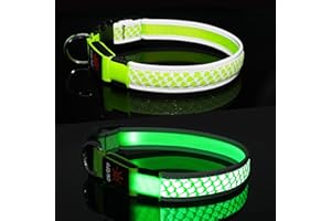 DQGHQME Light Up Dog Collar LED Flashing Dog Collar USB Rechargeab with 2 Refelective Strips, illuminated Dog Collars for Dogs Glow in the Dark, Light Up Your Dog at Night Collars-Spot and Protect Your Dog.