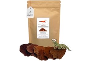 GARNELEN4YOU® Seemandelbaumblätter 20 Stück 10–15 cm – Aquarium Blätter für Garnelen, Krebse, Schnecken & Fische – Wasseraufbereitung & Langzeit-Futtermittel - nachhaltige Verpackung