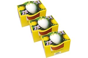 ‎BULL & BEAR Bull & Bear Set of 3 Mini Plant Set Egg Tree, Seeds for Egg Tree in Pot 4.5 cm, Egg Tree Growing Set with Care Instructions (English language not guaranteed)