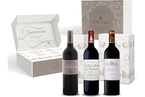 CASTEL CHATEAUX GRANDS CRUS Coffret Cadeau - Vin Rouge - Coffret Grands Vins de Haut Medoc - Closerie de Camensac - Haut-Medoc de Giscours - Griffe de Barreyres - 3x75cl