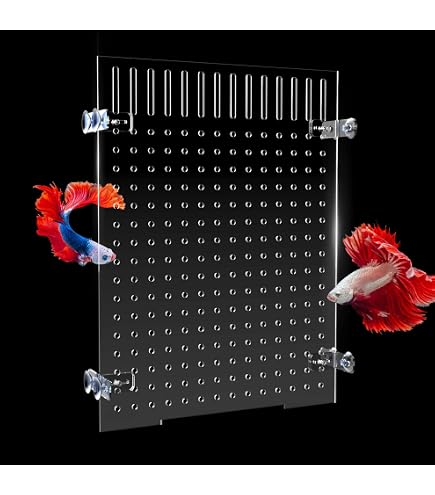 Aquarium-Trennwand Mit Saugnäpfen | 12 Stück, 30,5 X 30,5 Cm, Schwarze Eierkiste | Für Fischtrennung, Zucht & Aquarium-Einteilung