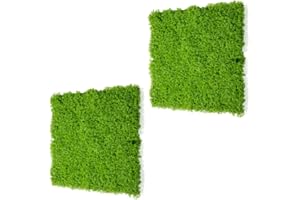 STI Siepe Pannello di Muschio Artificiale 3D Verde Chiaro 100x50cm