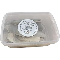 TropicShop - 100g Grösse: 6-13cm - 6-10 Stück - Sepiaschale die natürliche Kalziumquelle - Für Schildkröten, Bartagamen…