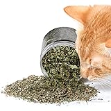 Herbe A Chat Cataire Rend Votre Chat Heureux 60g Paquet Xxl Qualite Premium Que La Meilleure Menthe Pour Votre Petite Boule De Poil Coupe Et Seche A Utiliser Comme Jouet Pour