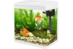 1ZIZIFA8 Small Glass Aquarium Tank 8L with Filter and Light, All-in-One Desktop Glass Fish Tank Kit with Pump for Goldfish, Betta, Shrimp, White