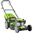 Dellonda 170cc 20"/51cm Self-Propelled Petrol Lawnmower - 4-Stroke - DG102