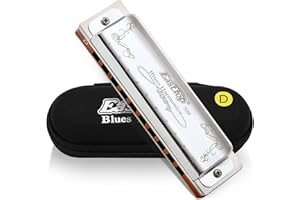 East Top 10 fori 20 toni 008K Armonica diatonica chiave di D con copertura argento, armoniche standard per adulti, musicisti professionisti e studenti