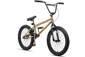AVASTA Bicicletas de 20 Pulgadas para niños Freestyle BMX para 6, 7, 8, 9, 10, 11, 12, 13, 14 años, niños y Principiantes con piquetas
